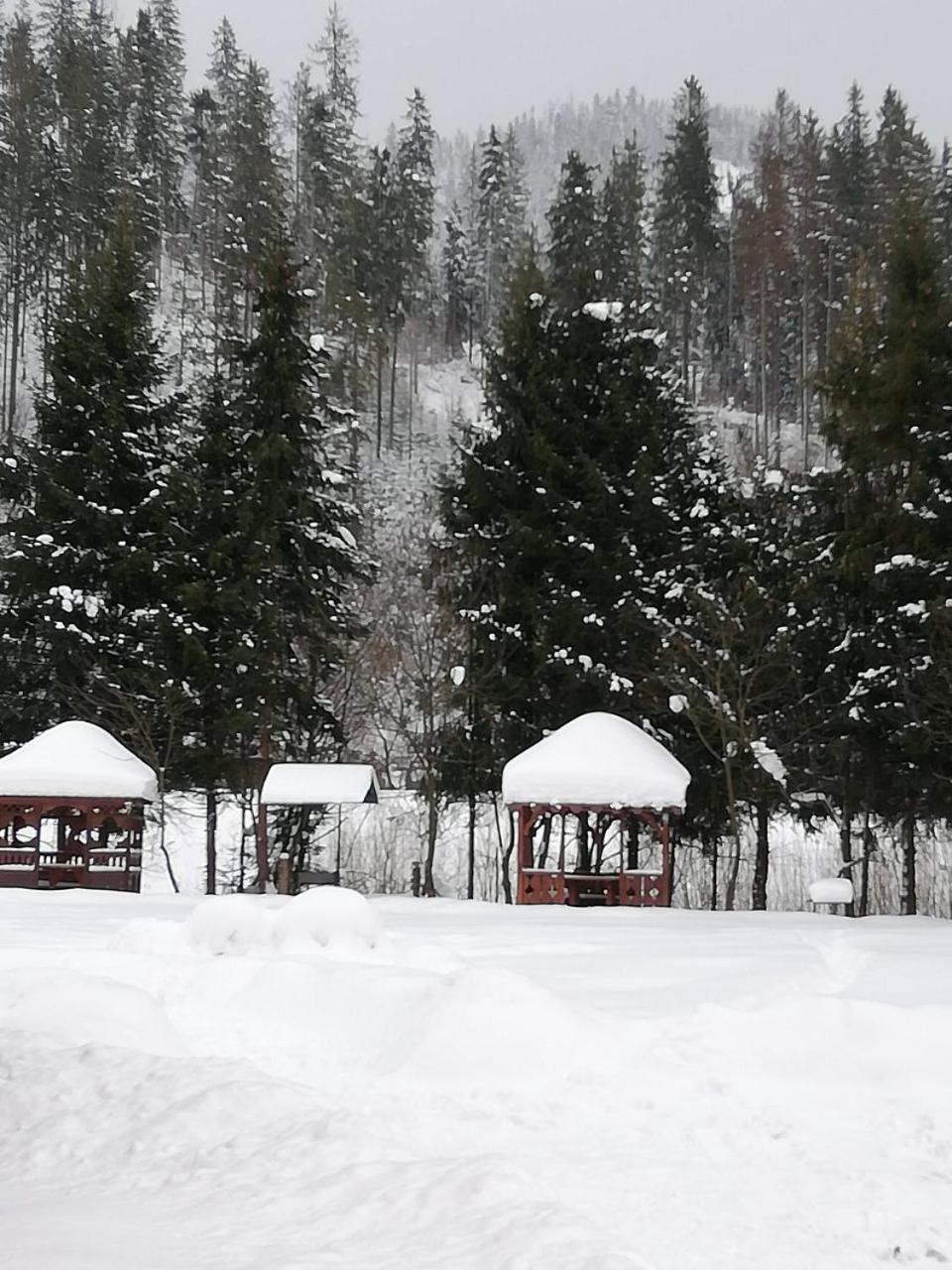 Кукулька Міні-Готель Slavske Exterior photo